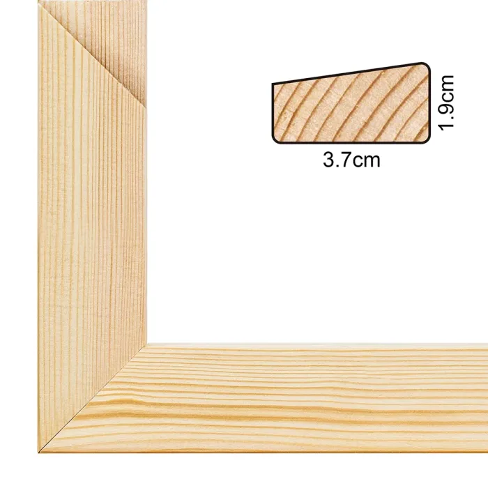19MM Depth*37MM Width