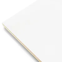 Phoenix Professional Series, 3/4" Ultra-smooth Surface Gesso Board - Image 3
