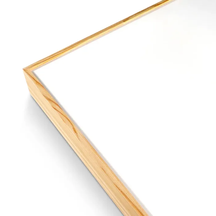Phoenix Professional Series,2" Fine Surface Liqui Art Board - Image 2
