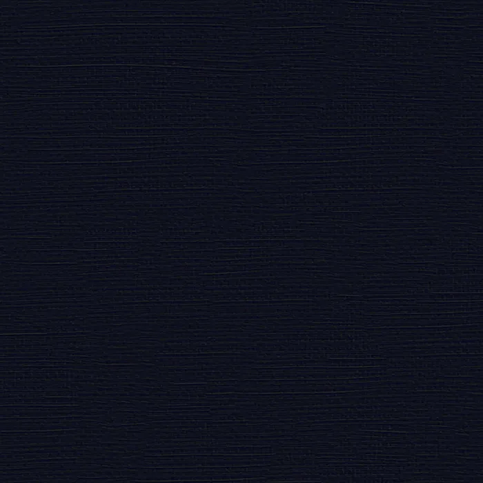 Payne's Gray