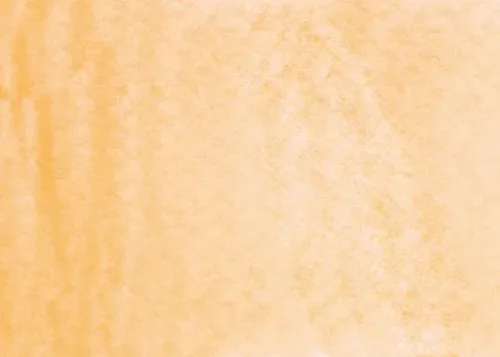 Pastel Orange