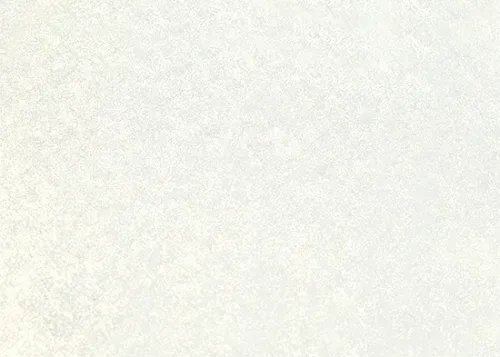 White Flash