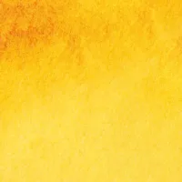 Cadmium Yellow Hue