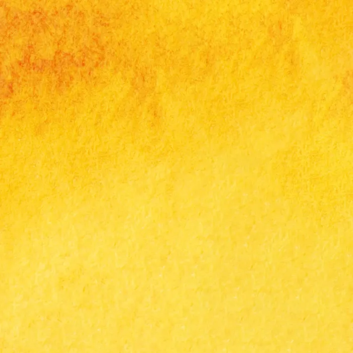 Cadmium Yellow Hue