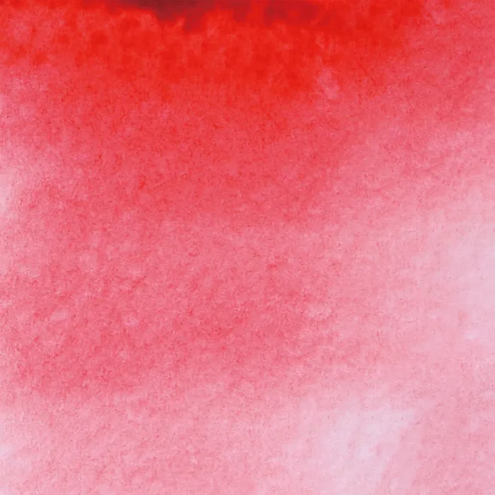 Tiziano red