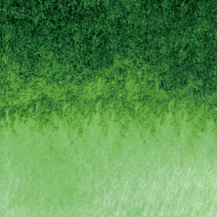 Hooker's Green Light