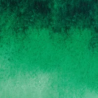 Bamboo Green