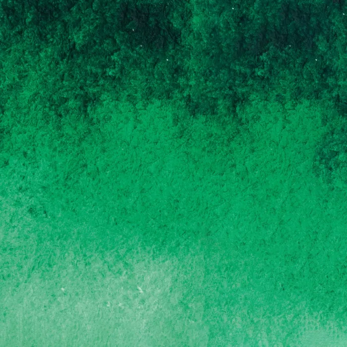 Bamboo Green