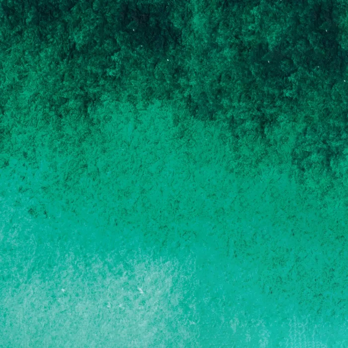 Viridian Hue