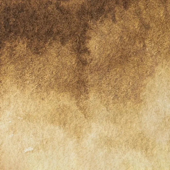 Raw Umber