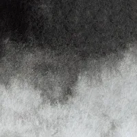 Ivory Black