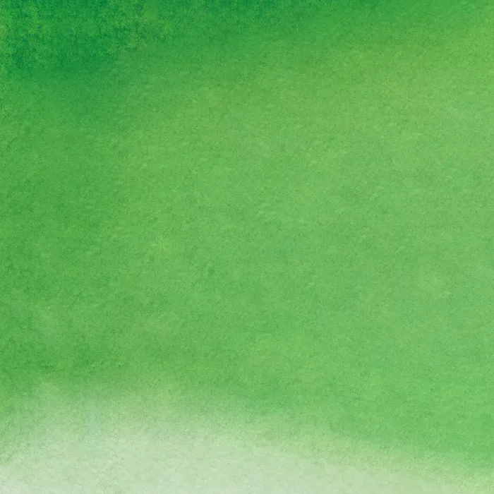 Hooker's Green