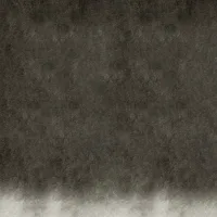 Ivory Black