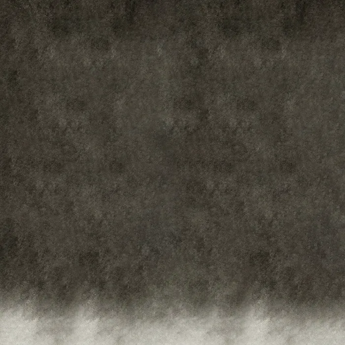 Ivory Black