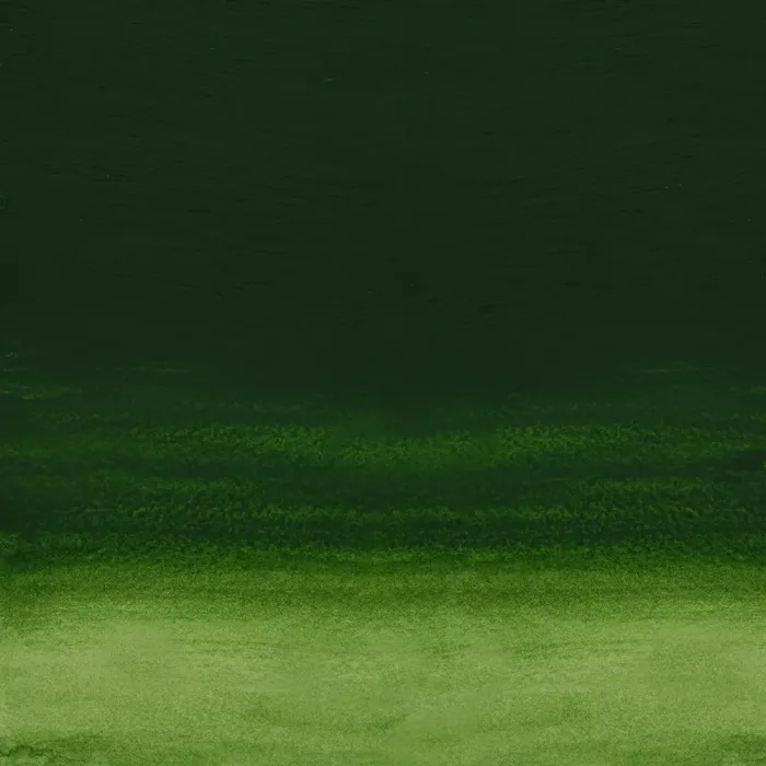 Terre Verte