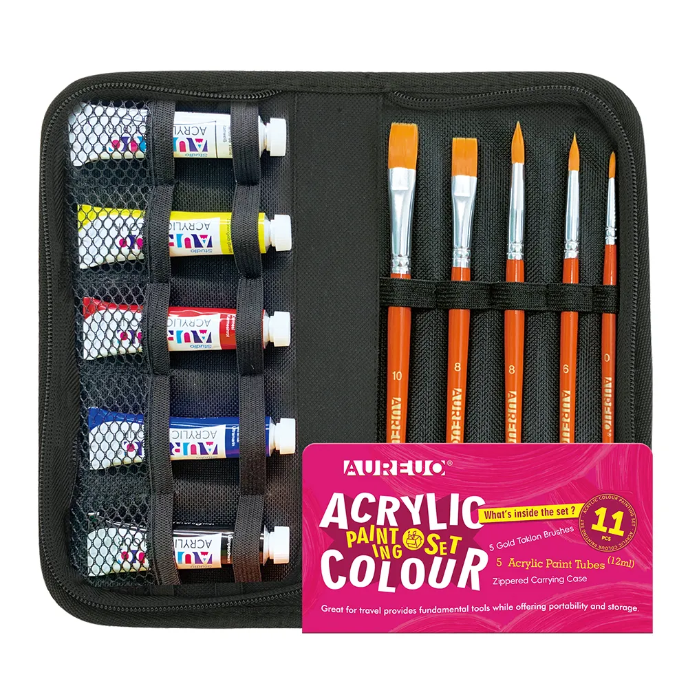 ACRYLIC PAINTING CASE SET 11 PCS