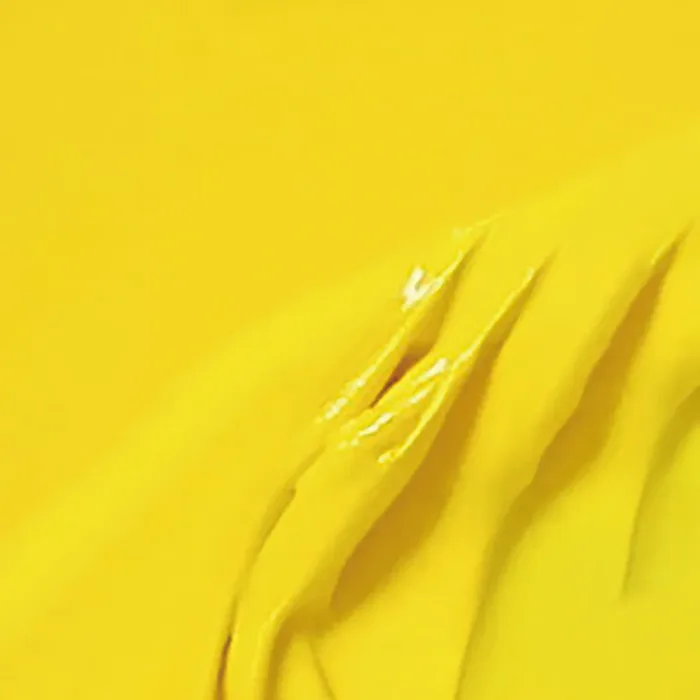 Cadmium Yellow Light Hue