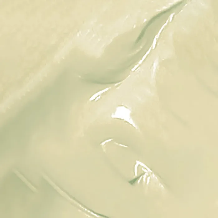 Parchment