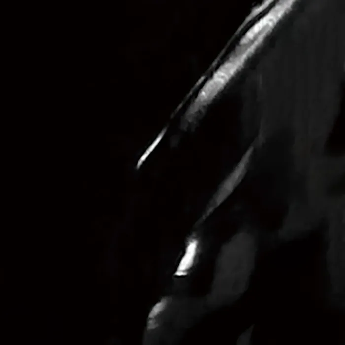 Lamp Black
