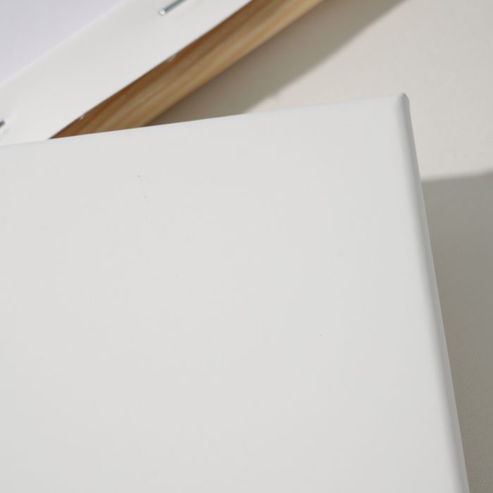 PHOENIX Artist Marker Canvas - Phoenix Art Materials